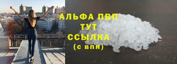 стафф Бородино