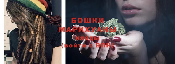стафф Бородино