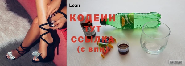 стафф Бородино