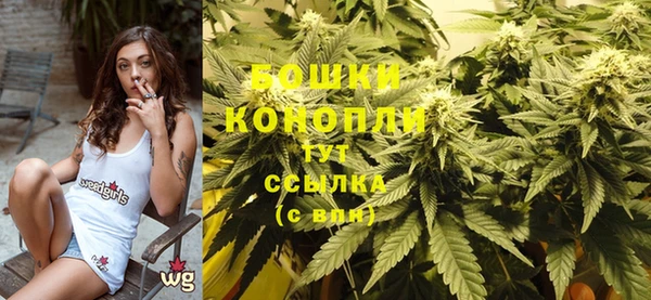 стафф Бородино